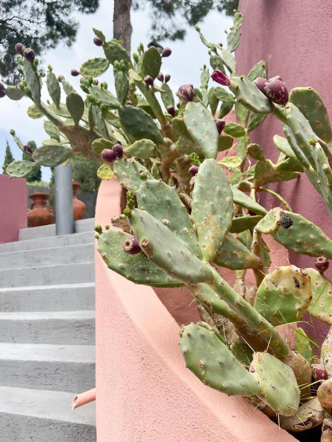 Villa San Lorenzo Capitana Bagian luar foto